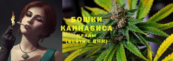 сатива Покачи