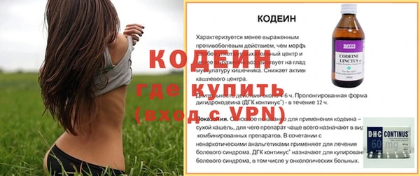 дурь Гусев